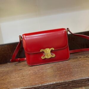 CELINE TRIOMPHE Women's Handbag – Luxury Designer Bag with Super Master Quality