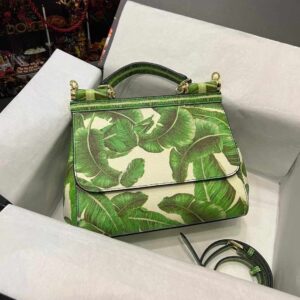 D&G