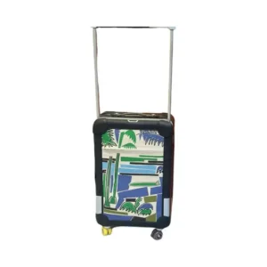 Hermes suit case