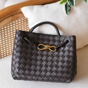 Buy Bottega Veneta Andiamo Small Fondant Bag | Dubai Luxury Items