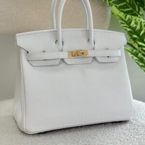 Buy Hermes Birkin 25CM Pure White Togo Leather Handbag